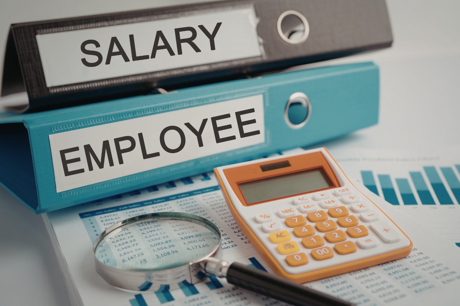 MENA Guide: Annual Income Means More Than Salary